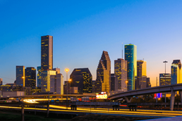 Image of skylinehouston